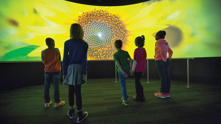 A Mirror Maze: Numbers In Nature - Griffin Museum of Science and Industry