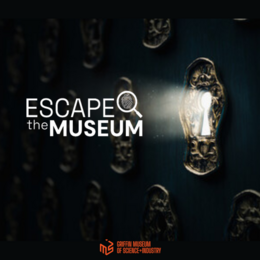 Escape the Museum