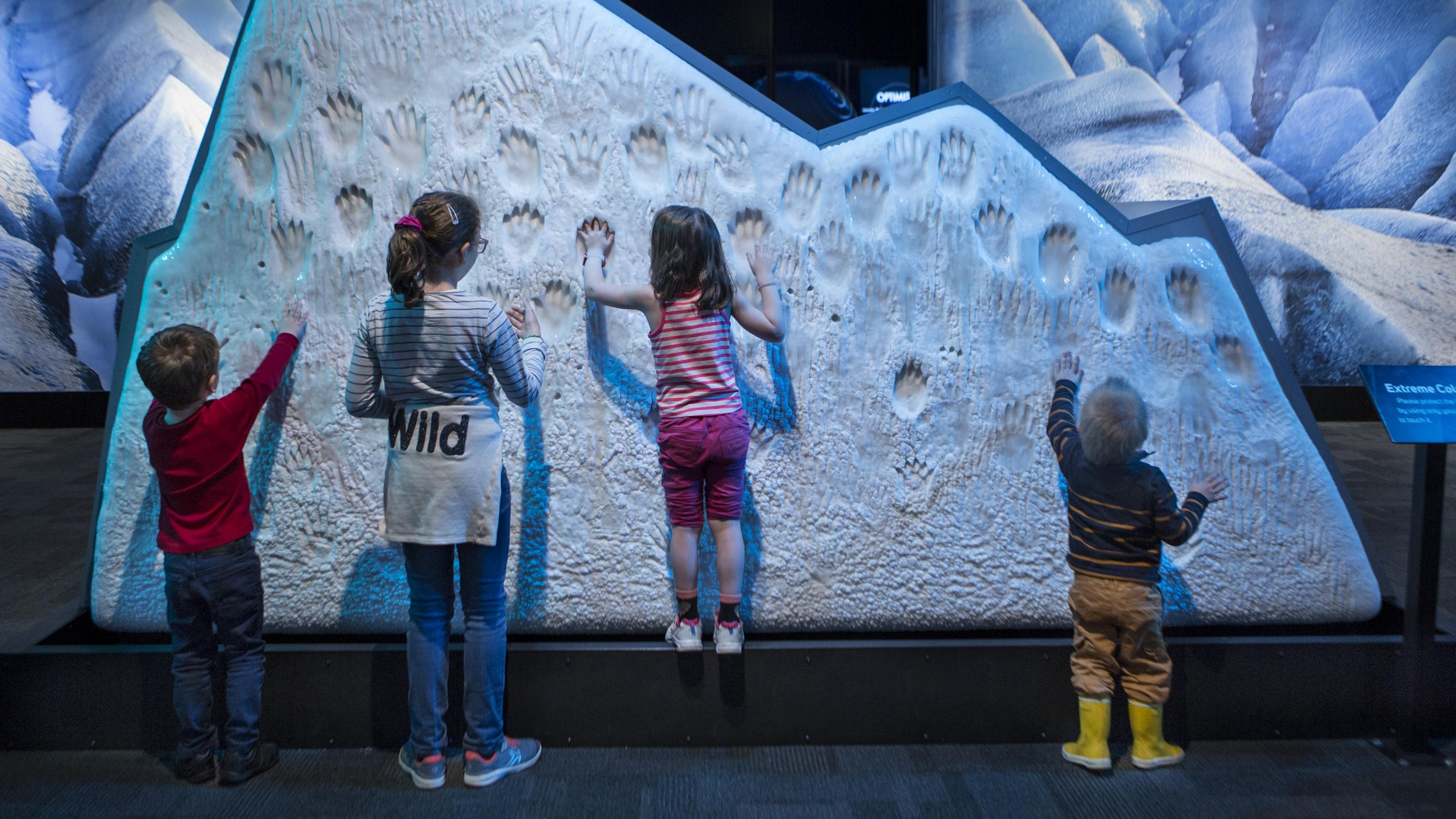 Celebrate Earth Day Griffin Museum Of Science And Industry