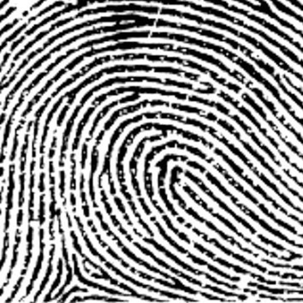 fingerprints-museum-of-science-and-industry